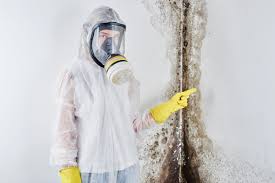 Stony Prairie, OH Mold Prevention & Removal  Company